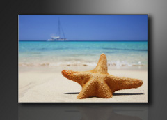 Enodelne 120 x 80 cm